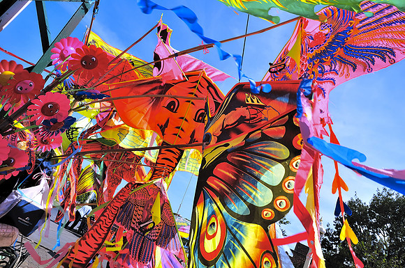 Kites - Phnom Penh