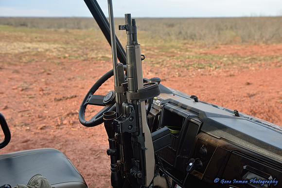 15888 - West Texas Helicopter Hog Hunt