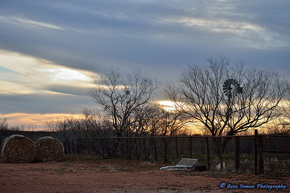 15900 - West Texas Helicopter Hog Hunt