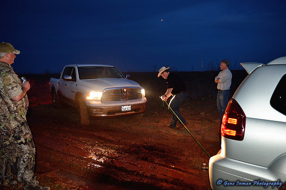 15934 - West Texas Helicopter Hog Hunt