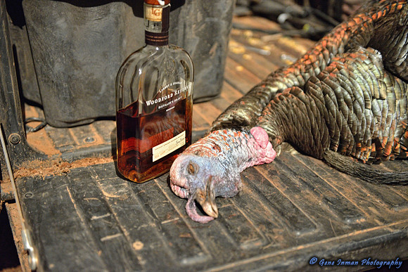 15950 - West Texas Helicopter Hog Hunt