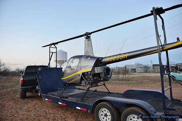 15985 - West Texas Helicopter Hog Hunt