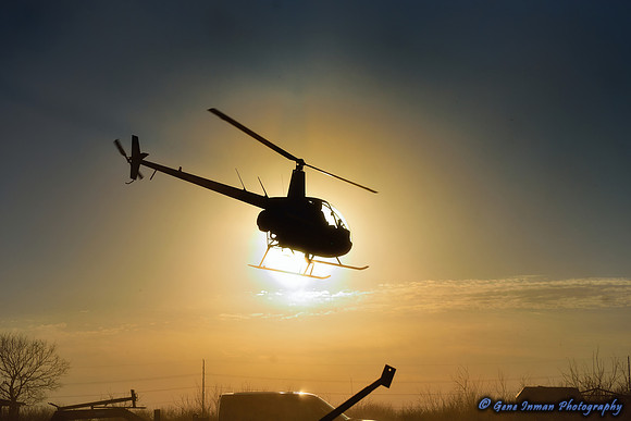 16056 - West Texas Helicopter Hog Hunt