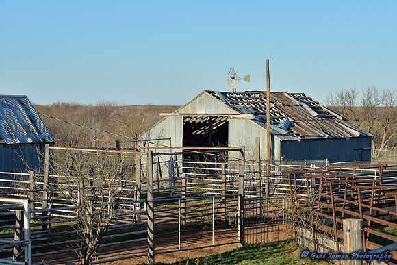 16079 - West Texas Helicopter Hog Hunt