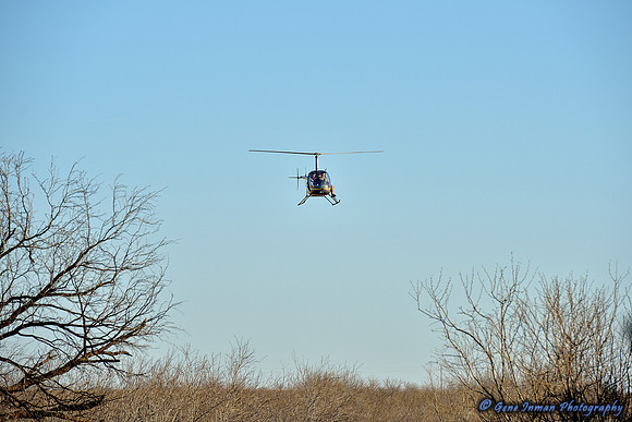 16097 - West Texas Helicopter Hog Hunt