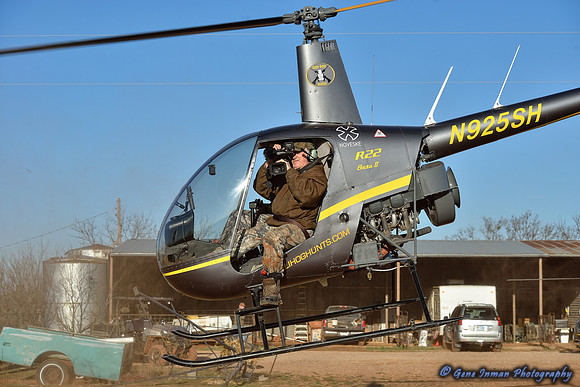 16113 - West Texas Helicopter Hog Hunt