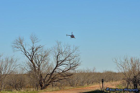 16132 - West Texas Helicopter Hog Hunt