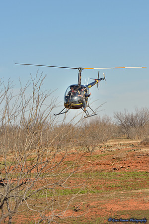 16197 - West Texas Helicopter Hog Hunt
