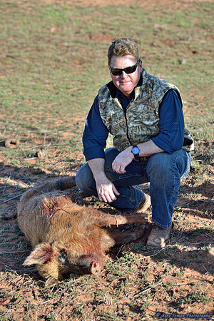 16210 - West Texas Helicopter Hog Hunt