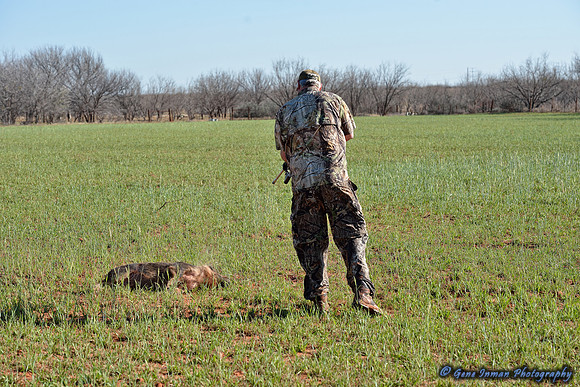 16235 - West Texas Helicopter Hog Hunt
