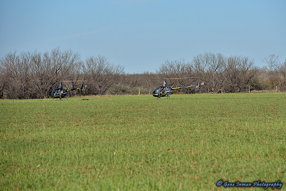 16236 - West Texas Helicopter Hog Hunt