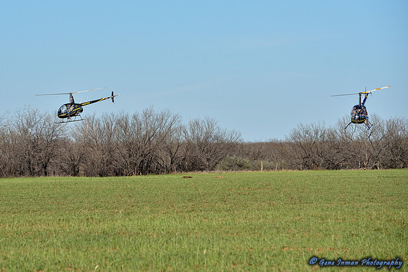 16237 - West Texas Helicopter Hog Hunt