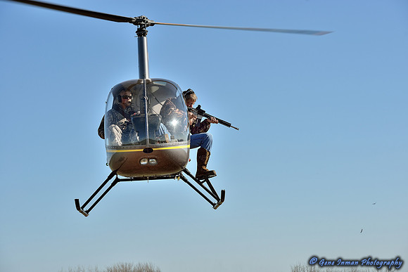 16246 - West Texas Helicopter Hog Hunt