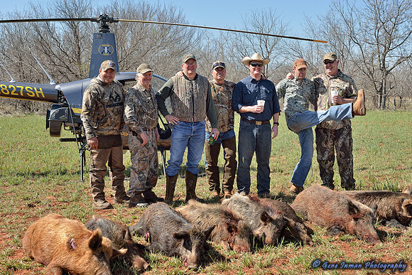 16284 - West Texas Helicopter Hog Hunt