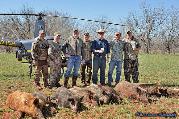 16286 - West Texas Helicopter Hog Hunt