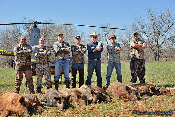 16291 - West Texas Helicopter Hog Hunt