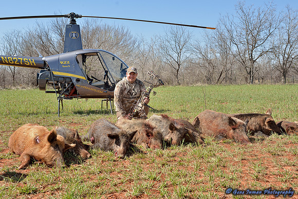 16294 - West Texas Helicopter Hog Hunt
