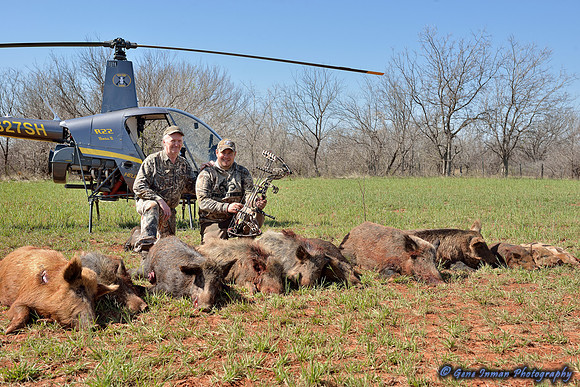 16296 - West Texas Helicopter Hog Hunt