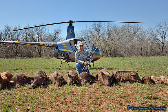 16311 - West Texas Helicopter Hog Hunt