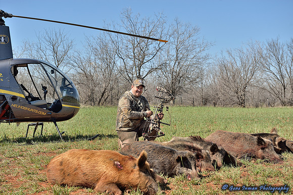 16314 - West Texas Helicopter Hog Hunt