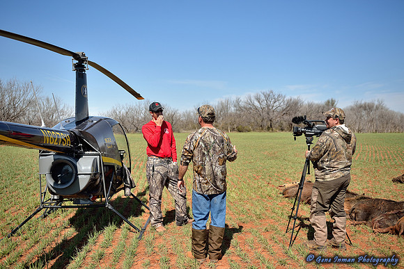 16328 - West Texas Helicopter Hog Hunt