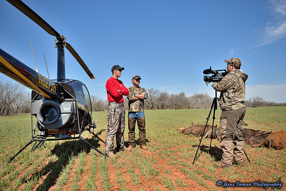 16331 - West Texas Helicopter Hog Hunt