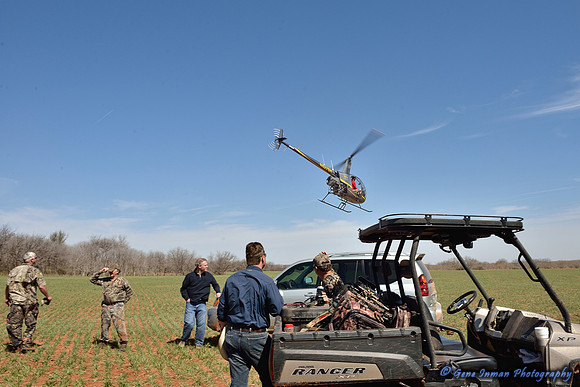 16376 - West Texas Helicopter Hog Hunt