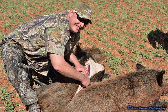 16393 - West Texas Helicopter Hog Hunt