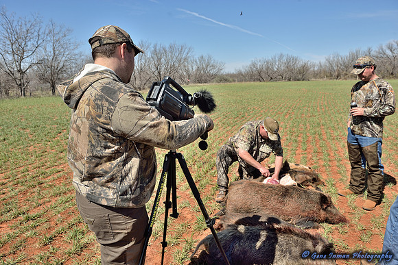 16397 - West Texas Helicopter Hog Hunt