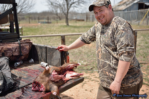 16429 - West Texas Helicopter Hog Hunt