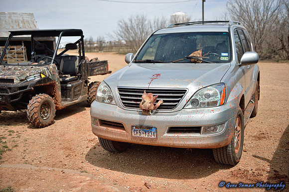16440 - West Texas Helicopter Hog Hunt