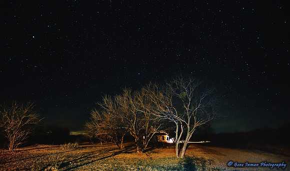 16508 - West Texas Helicopter Hog Hunt