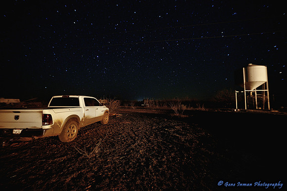 15600 - West Texas Helicopter Hog Hunt
