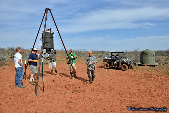 15664 - West Texas Helicopter Hog Hunt