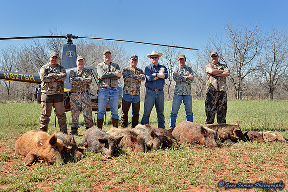 16293 - West Texas Helicopter Hog Hunt