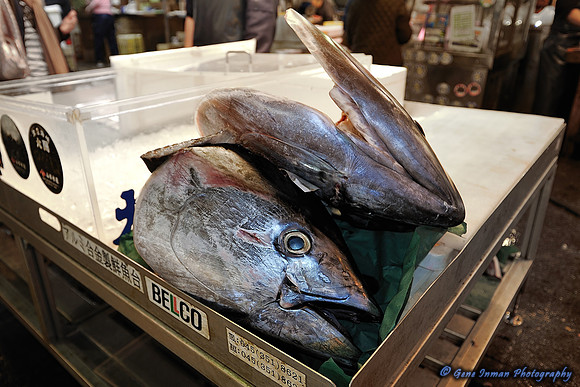GPI_8877_2140 Tokyo -TPZ.jpg -Tokyo Fish Market