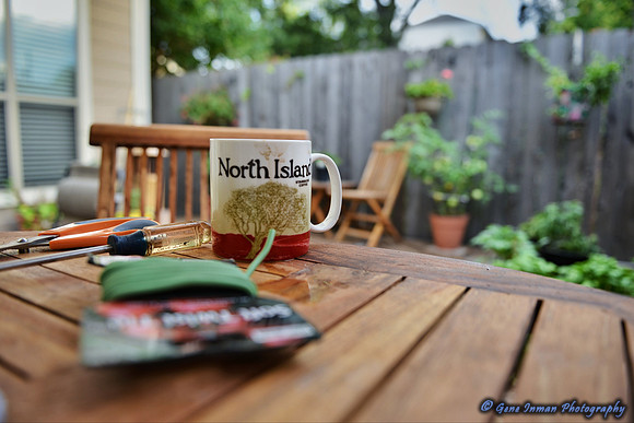 Sunday Morning, Nikon D800, via Eye-Fi, iPad, Snapseed edit.