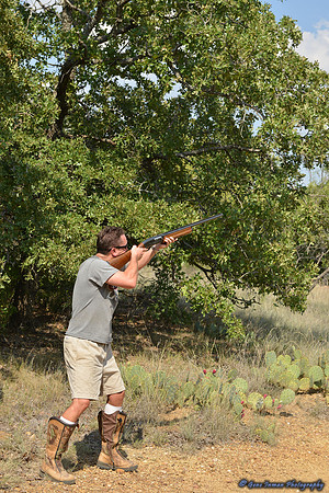 Dove Hunt 2013