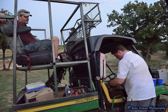 Dove Hunt 2013