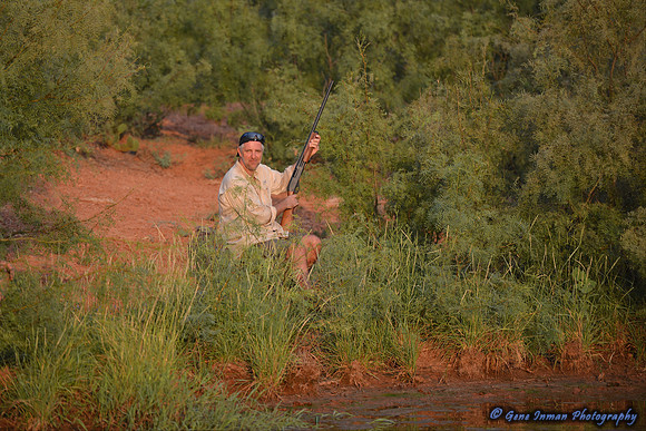 Dove Hunt 2013