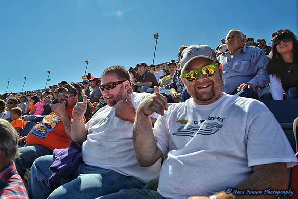 New Fan Friends