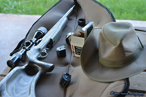 Dove Hunt 2013