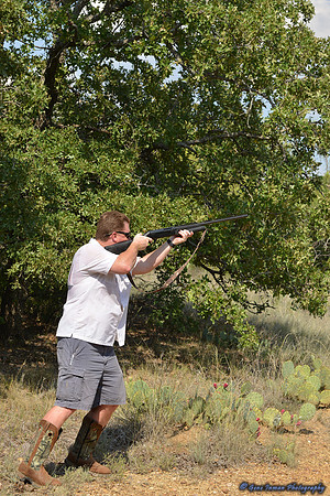 Dove Hunt 2013