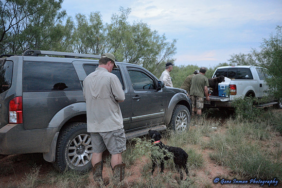 Dove Hunt 2013
