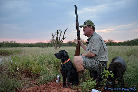 Dove Hunt 2013