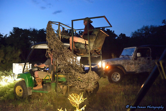 Dove Hunt 2013