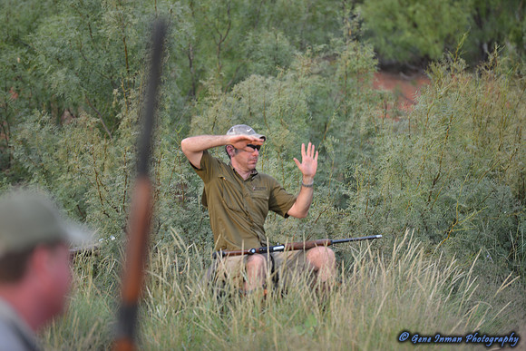 Dove Hunt 2013