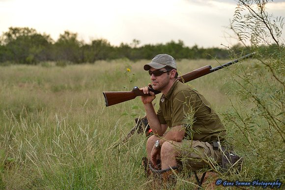 Dove Hunt 2013