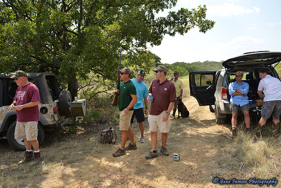 Dove Hunt 2013