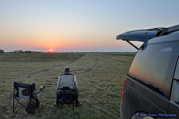 Dove Hunt 2013